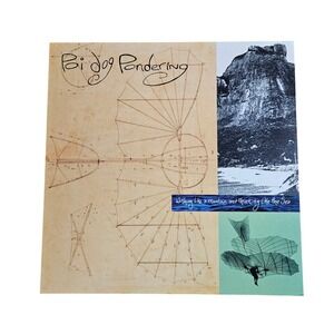 Poi Dog Pondering Wishing Like Mountain 12x12 DoubleSided Flat Promo Poster 1989